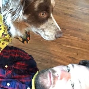 Meet your Posher, Novel